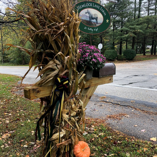 What Makes Fall at Hemlock Lane So Special?