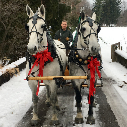 Percheron Slay