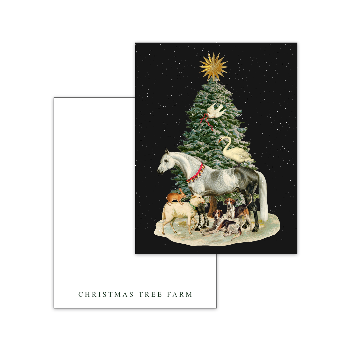 The Style of the Sporting Life™ Personalized Holiday Correspondence Cards - 11 Options