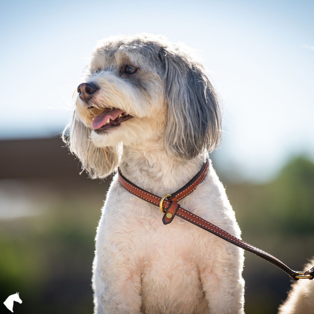 Gamekeepers British Slip Dog Lead