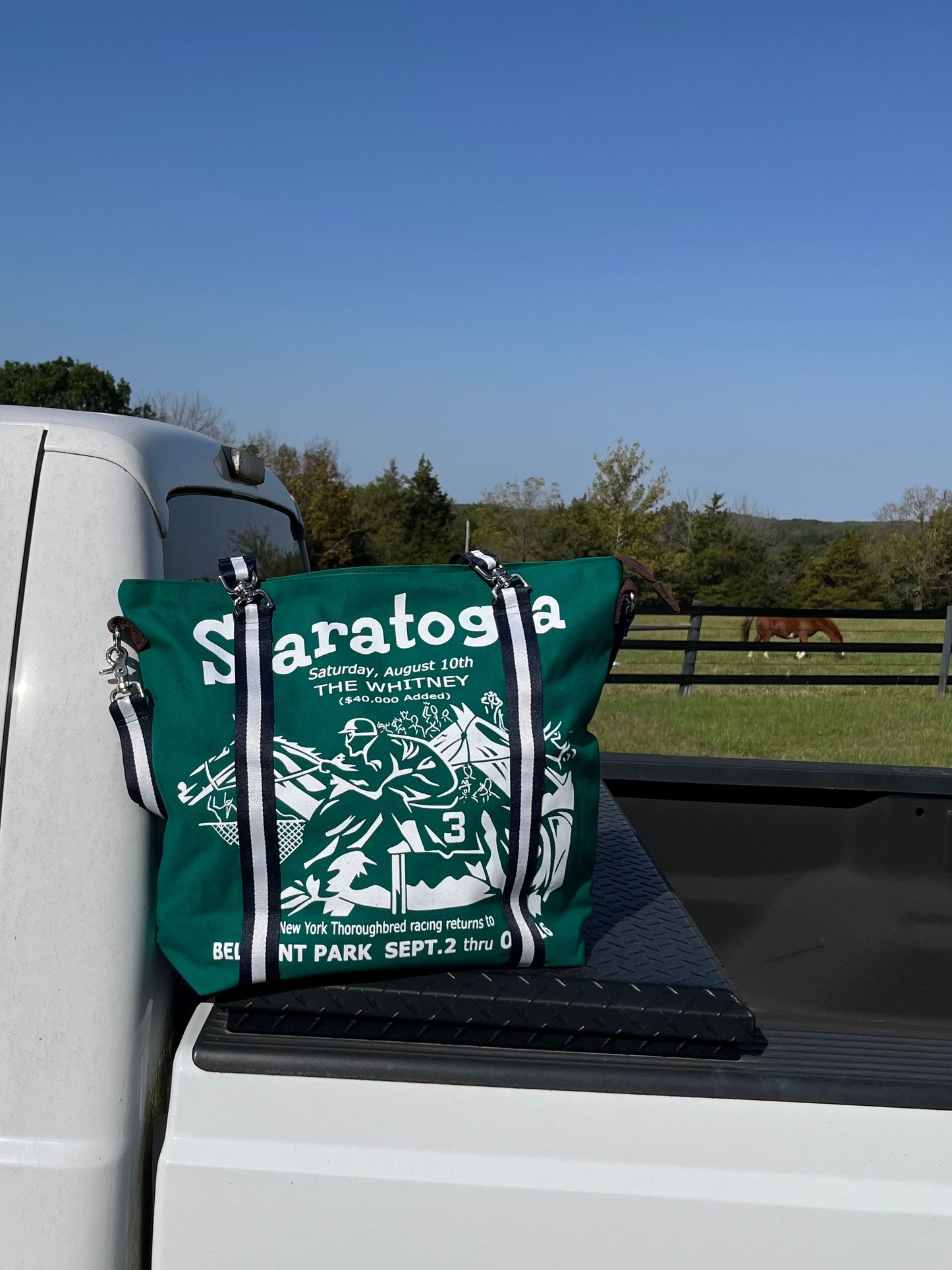 Mary Ann Saratoga Totes
