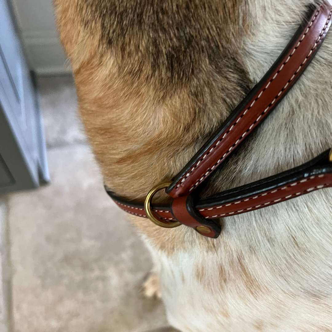 Gamekeepers British Slip Dog Lead