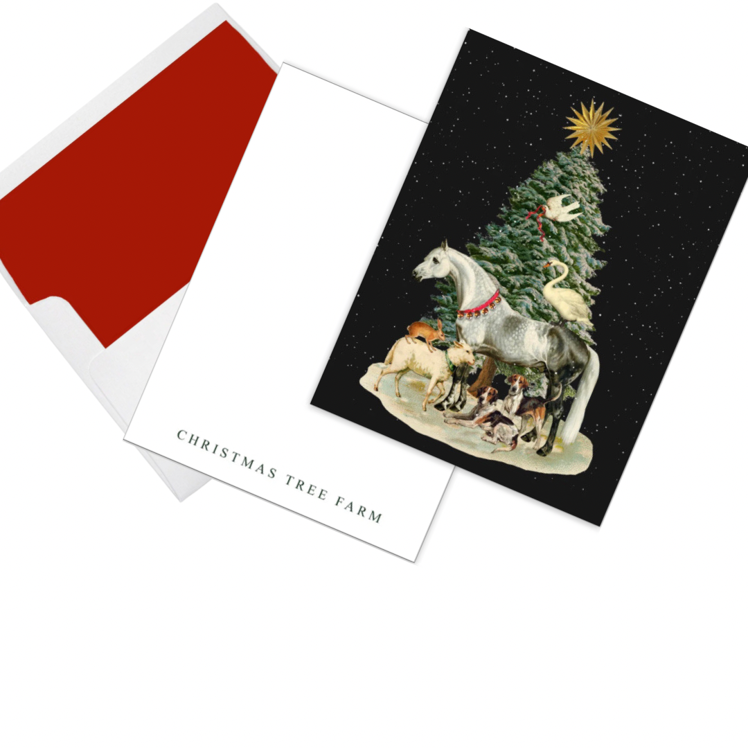 Holiday Cards.....Call Me Old-Fashioned!