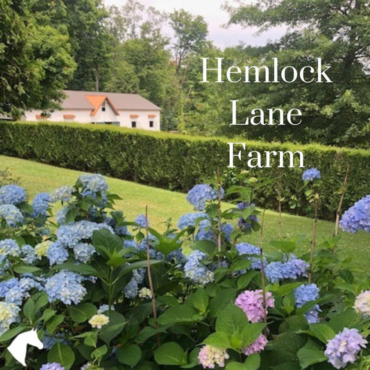 Spring Musings at Hemlock Lane: Life Beyond Mud