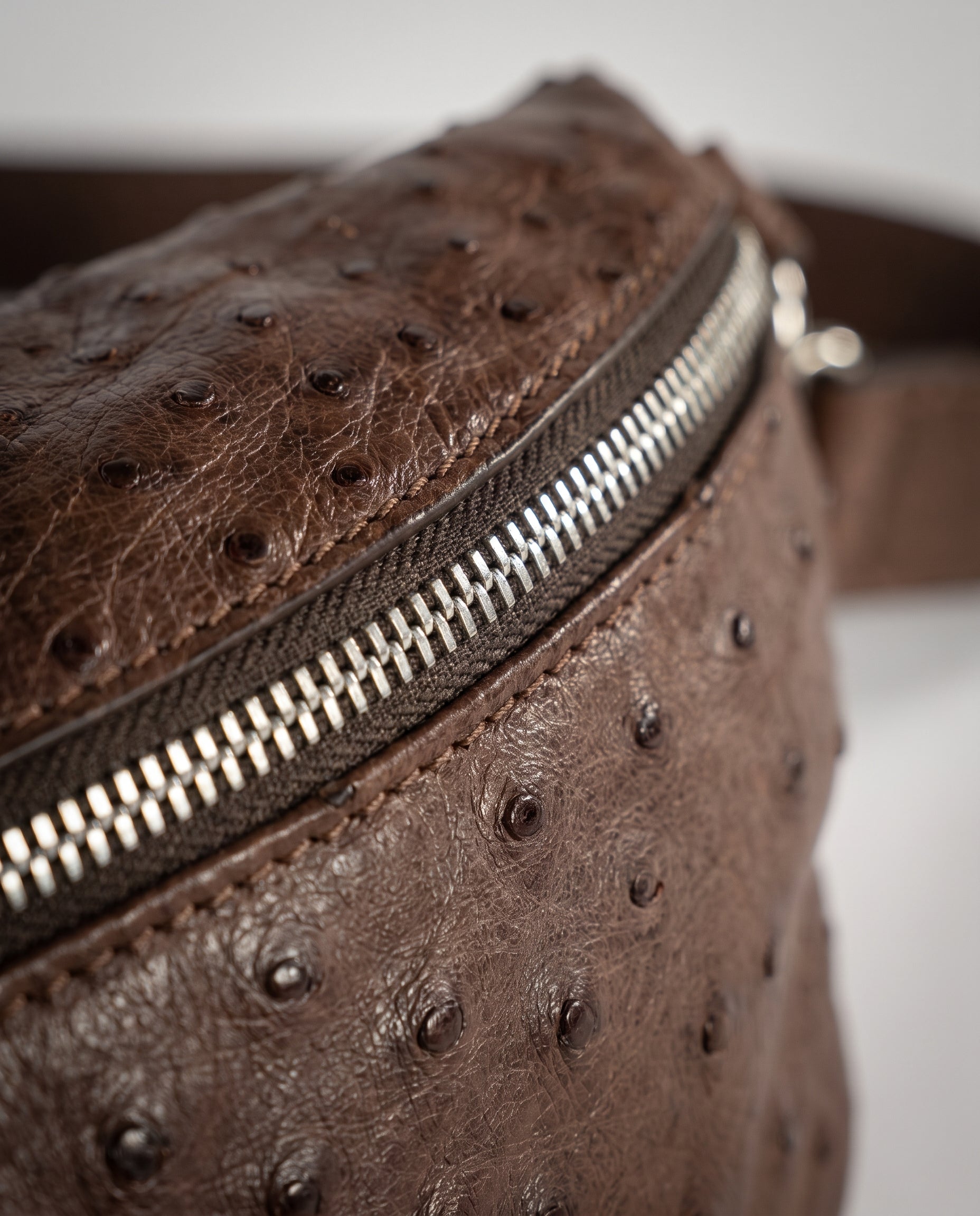 Chocolate Ostrich Alysse Sling Bag - Chocolate Ostrich