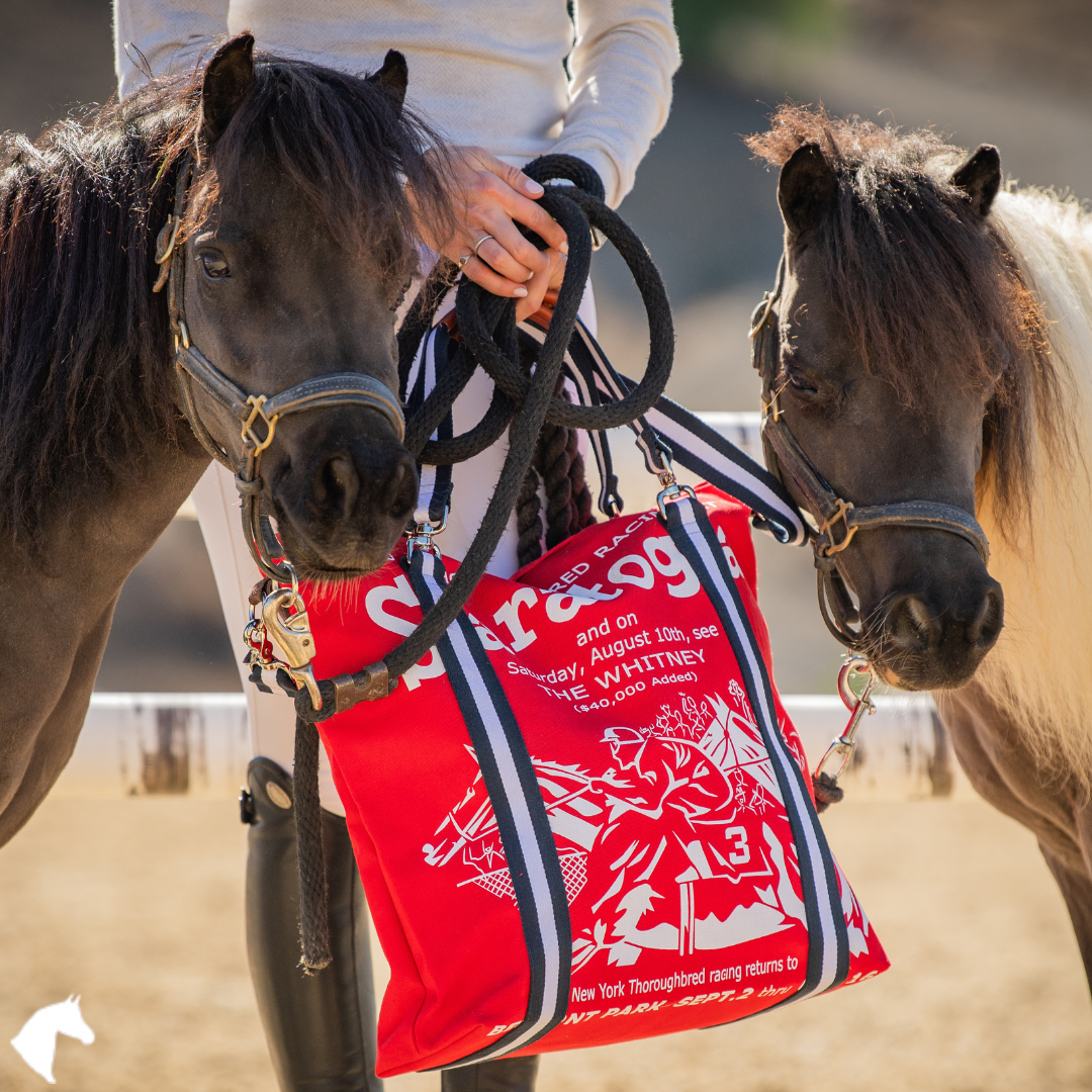 Mary Ann Saratoga Tote in Red