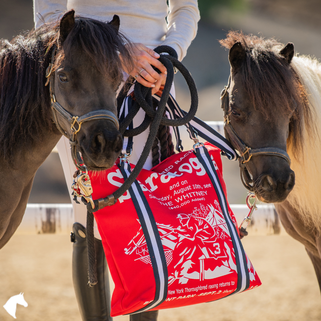 Mary Ann Saratoga Totes