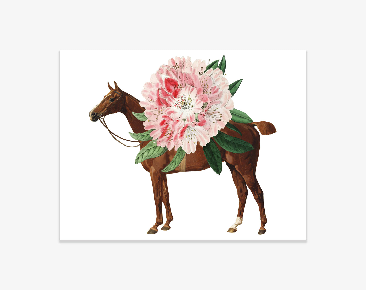 The Style of the Sporting Life™ Personalized Chelsea Horse Correspondence Cards- 2 Options