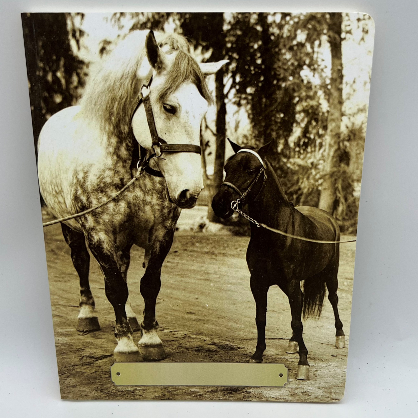 Seven Barks™ Horse Journal