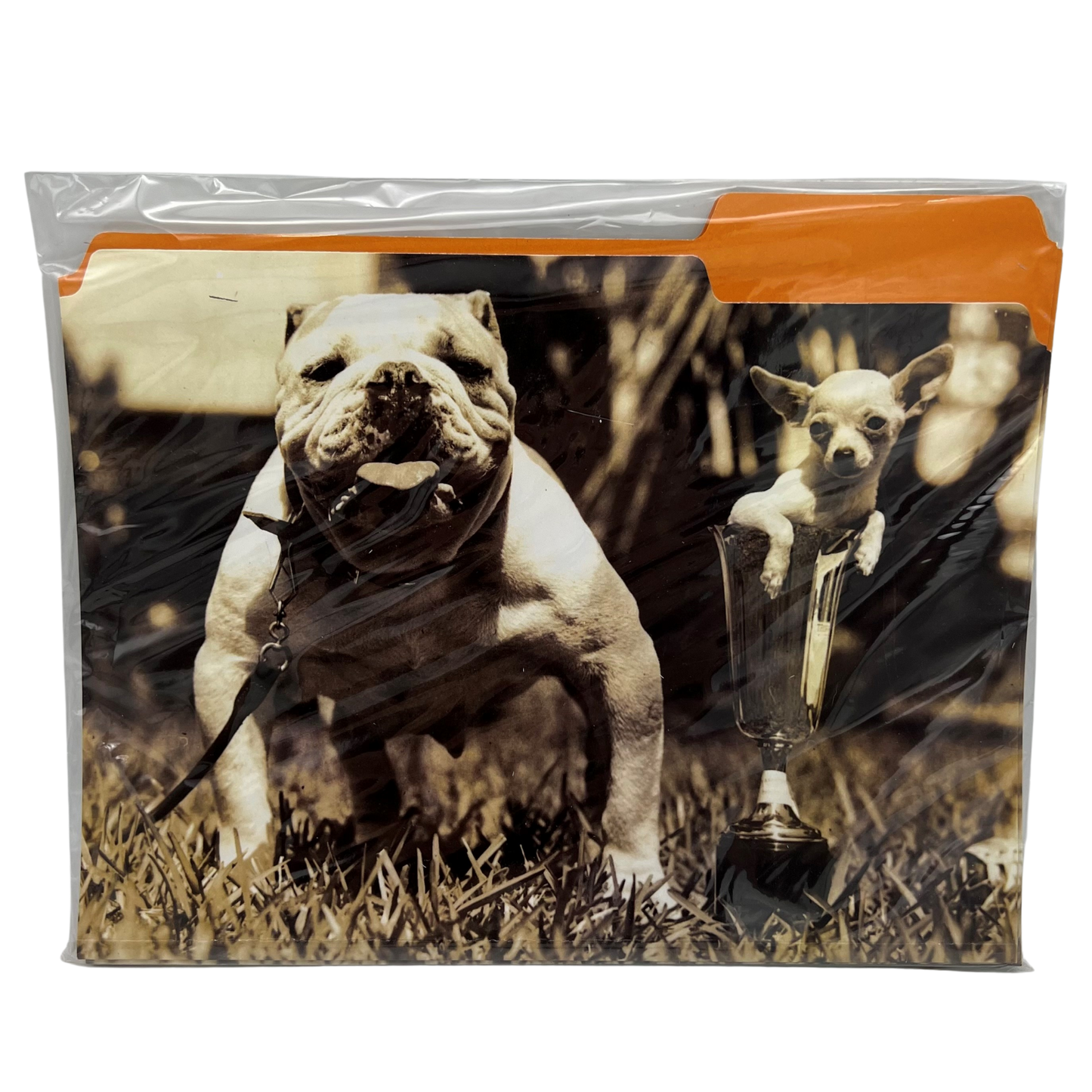 Seven Barks™ Canine Folder Set